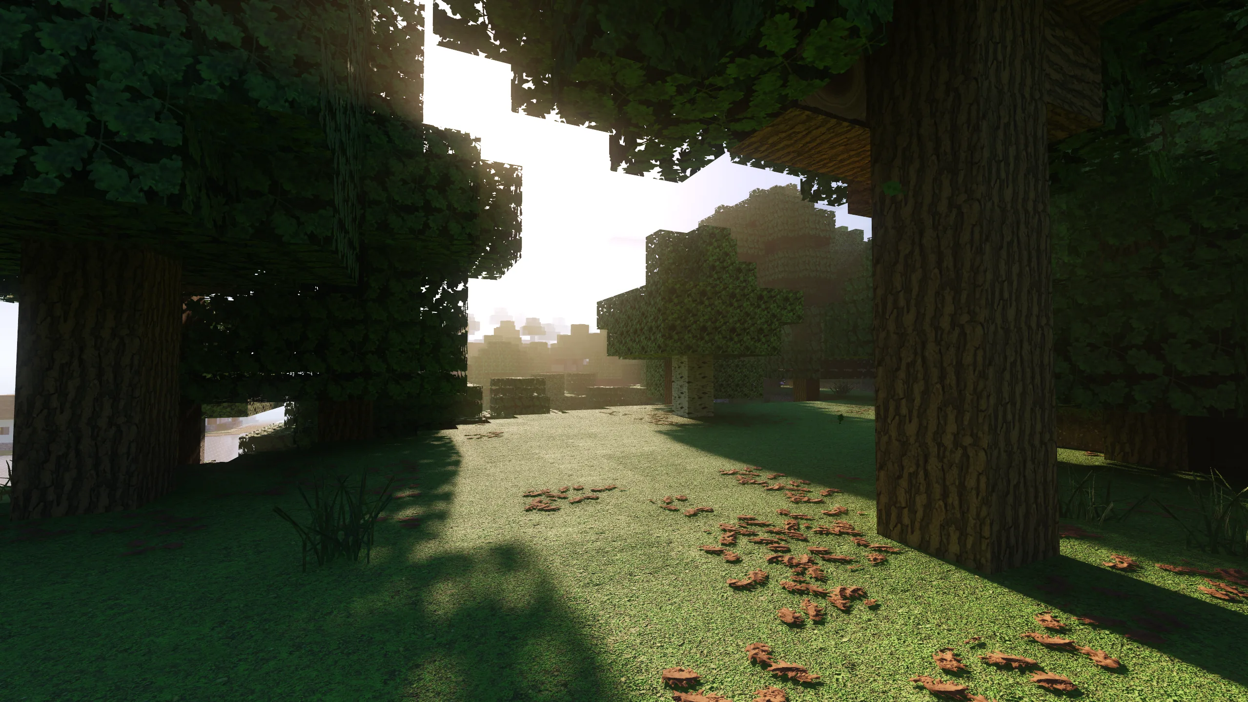 Optimum Realism Bedrock RTX — ray-traced forest with full PBR textures